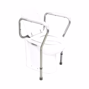 Toiletframe Vaste Montage